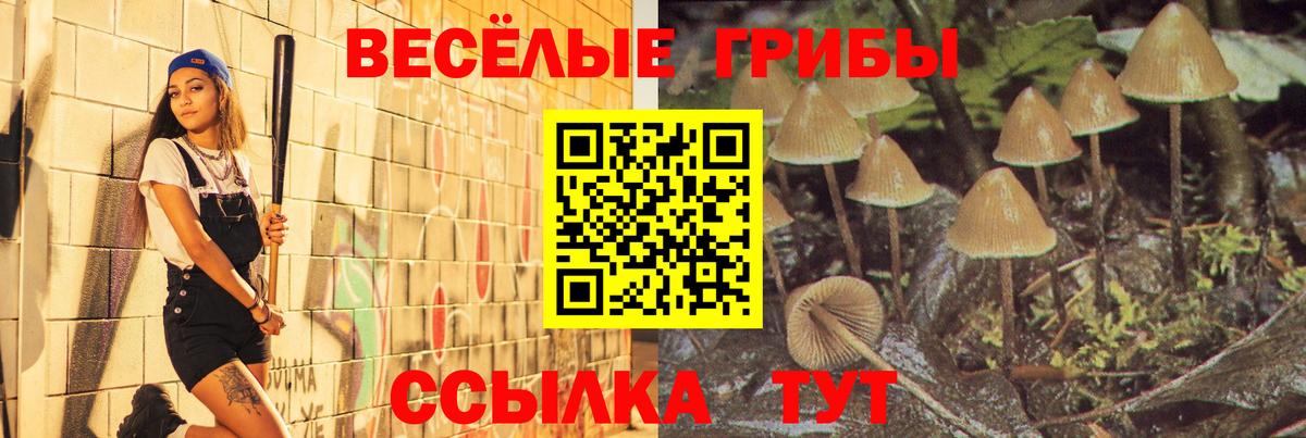 Галлюциногенные грибы Cubensis  Вход с VPN  Галлюциногенные грибы Cubensis  Луховицы 
